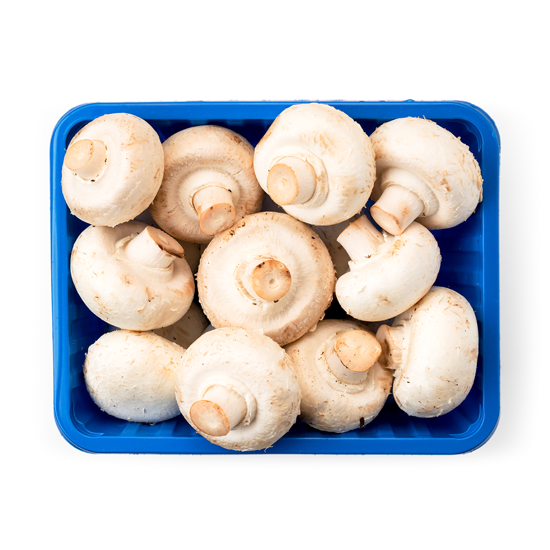 White Mushroom / 8 oz Box