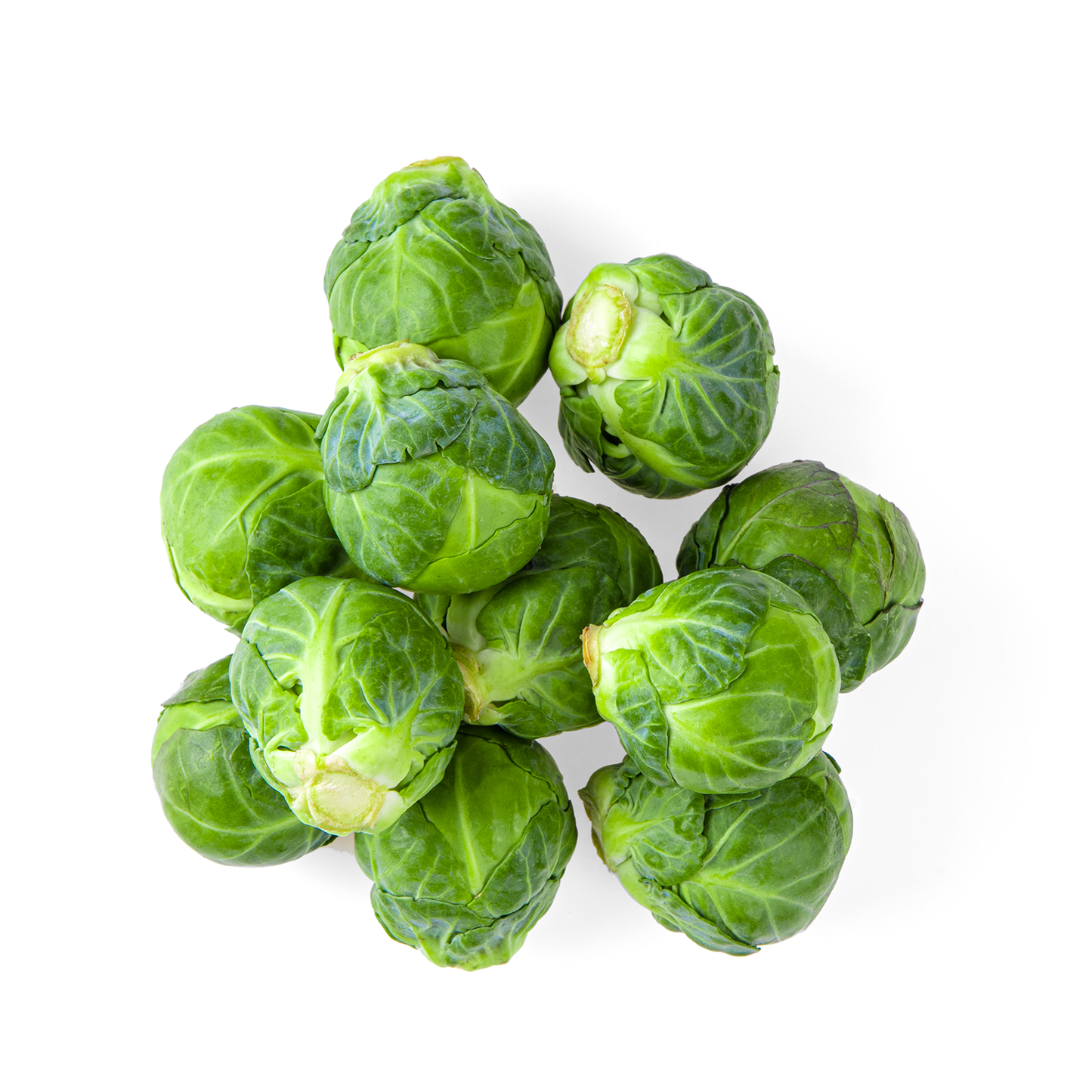 Brussels Sprouts / 1 lb