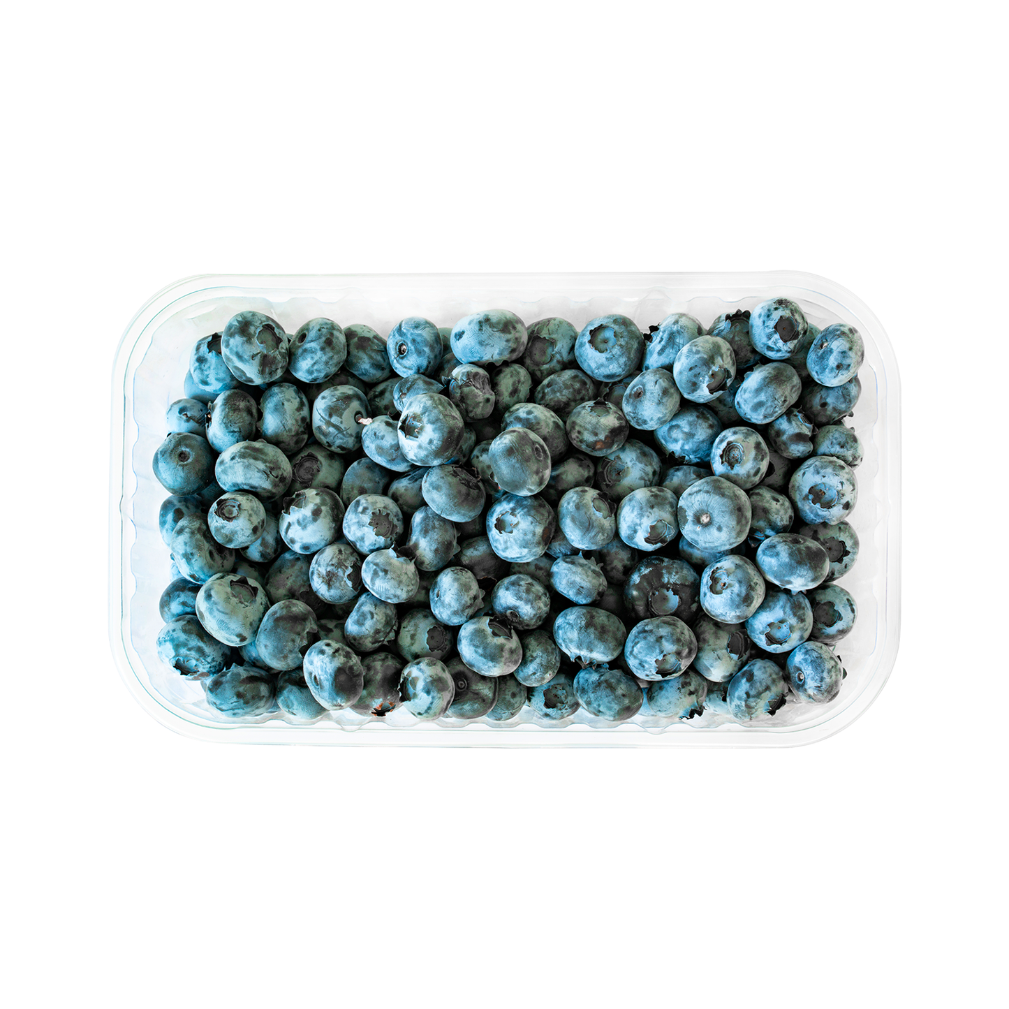 Blueberry / 1 box- 6 oz