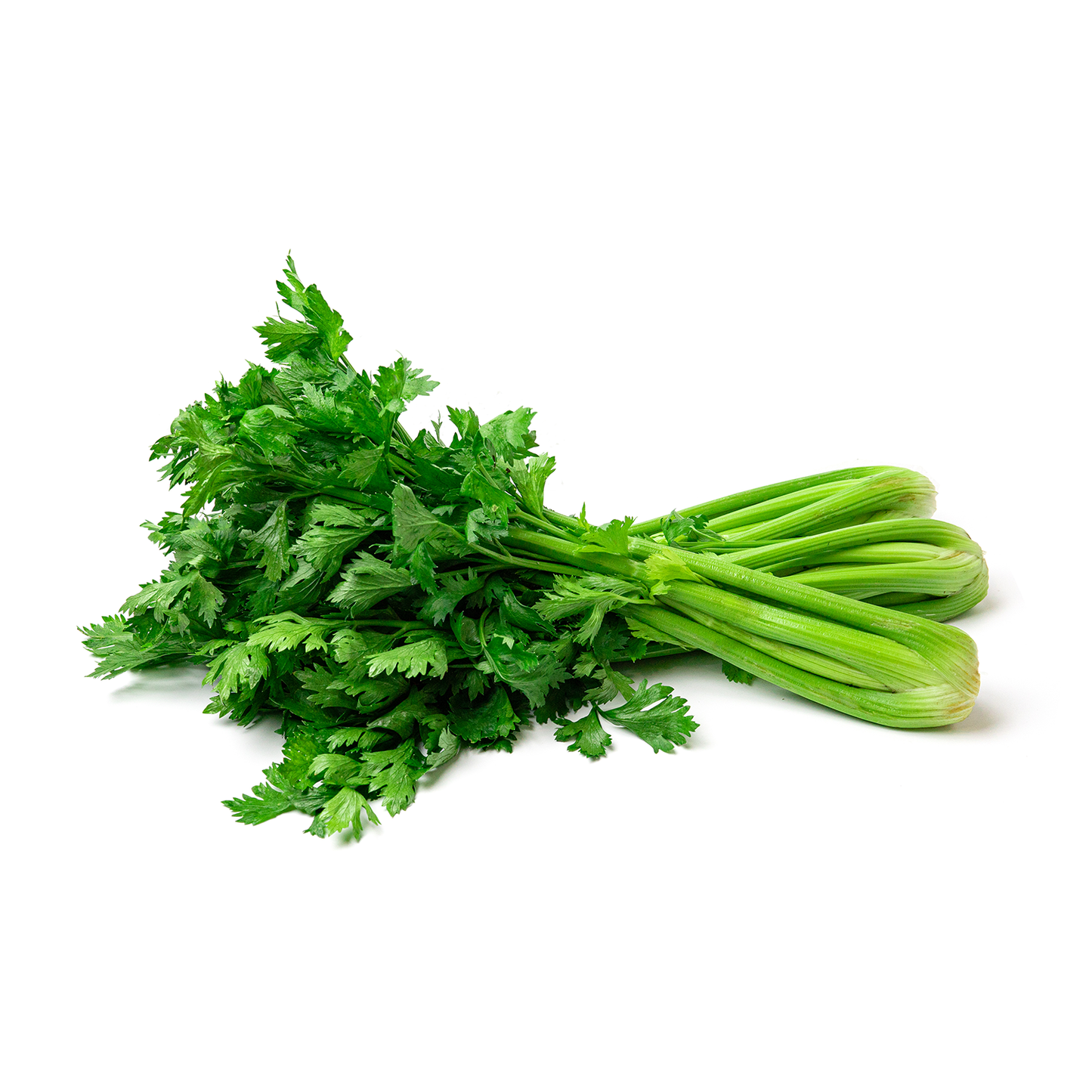 Organic Celery (1 Pc)