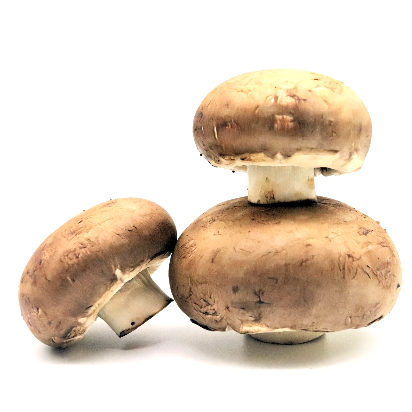 Cremini Mushroom / 6 oz Box