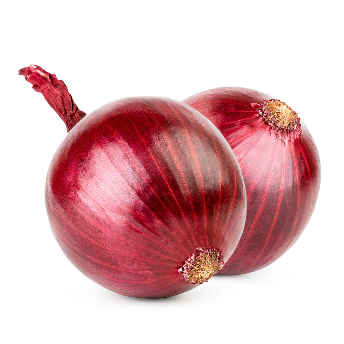 Organic Red Onion / 1 pc