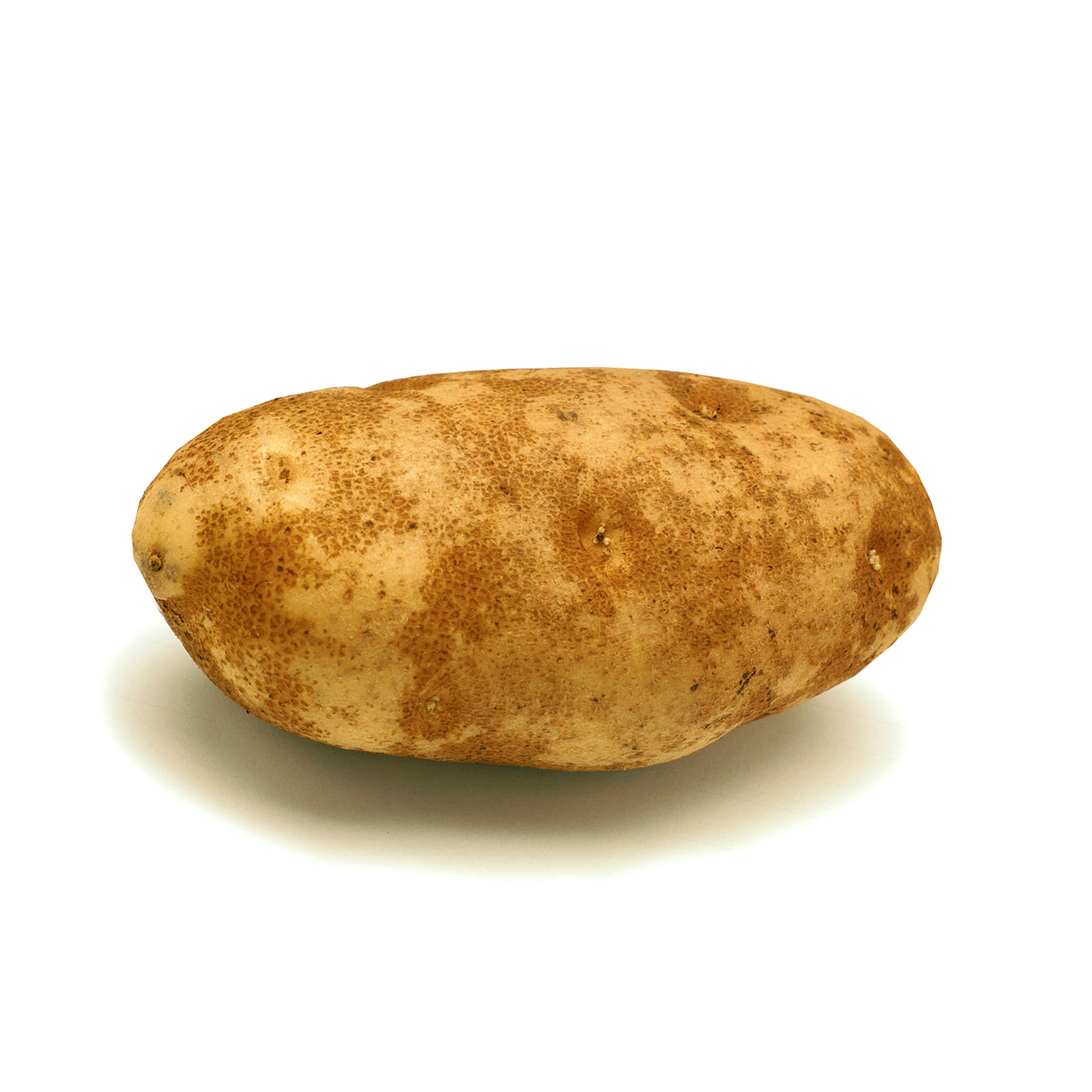 Russet Potato (Medium) / 1 pc