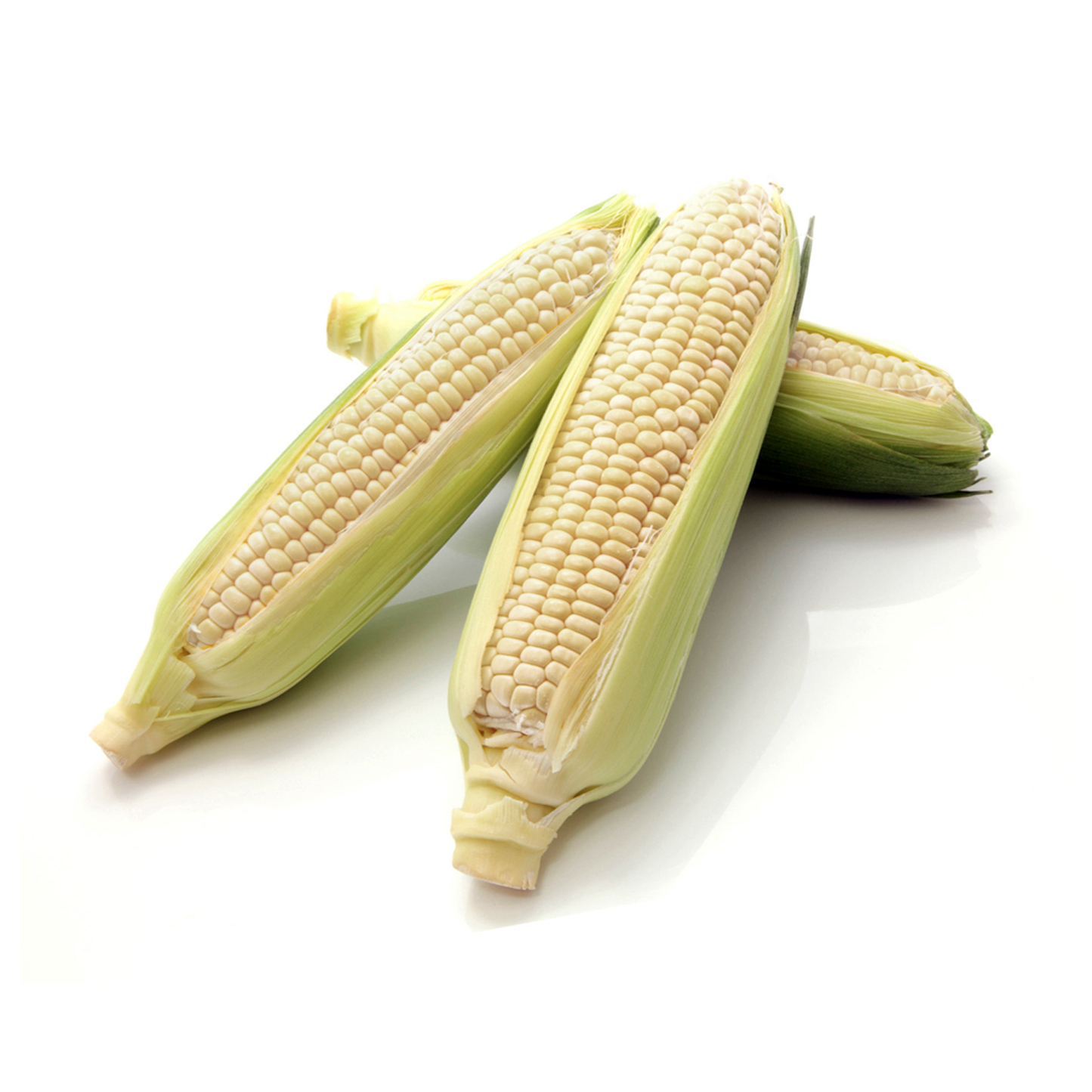 White Corn / 1 pc