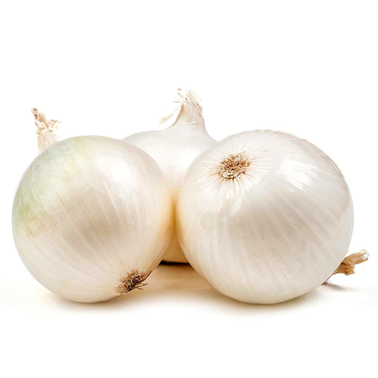White Onion / 1 pc